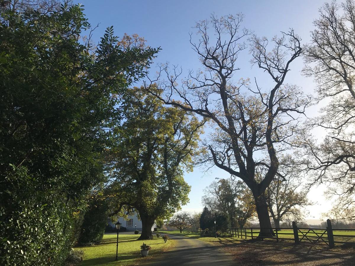 Leixlip Manor Hotel エクステリア 写真